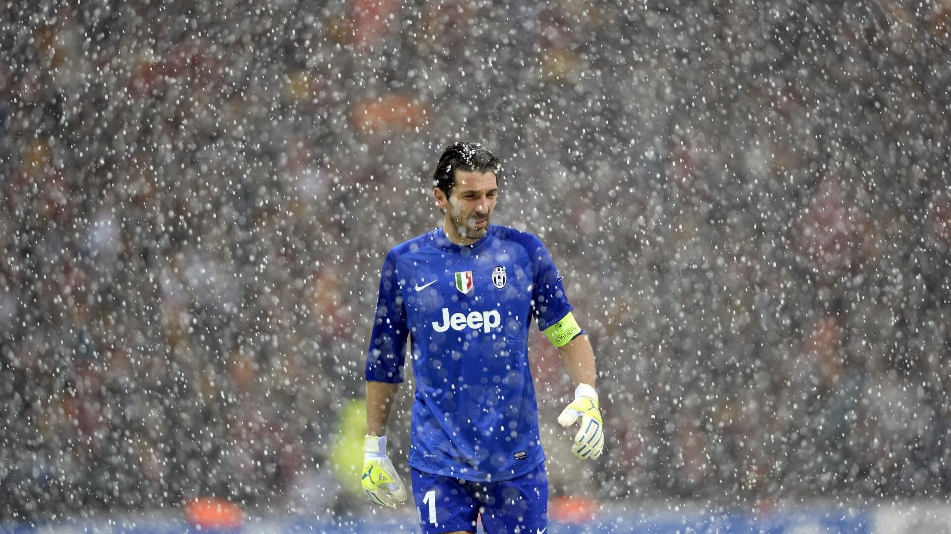 体育训练数据分析