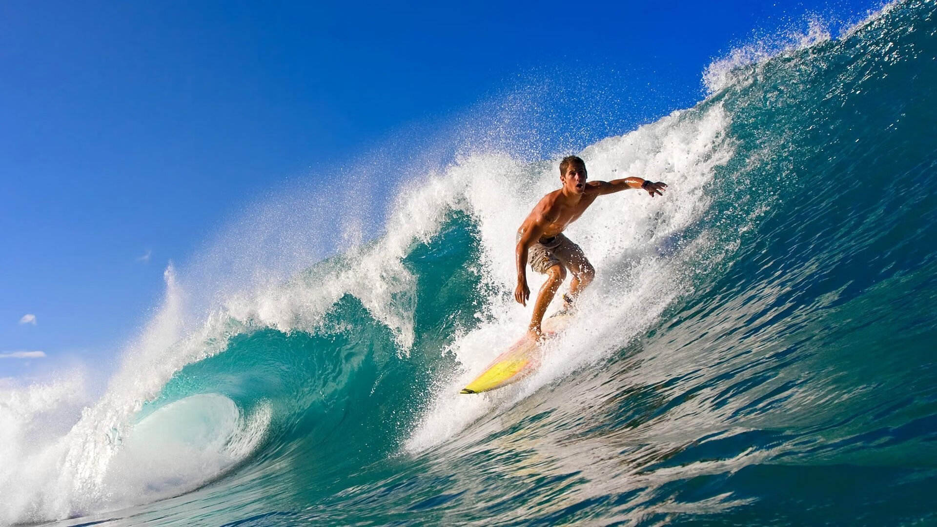 足球新闻年度排行榜